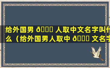 给外国男 🐎 人取中文名字叫什么（给外国男人取中 🍀 文名字叫什么好听）